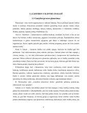 Įmonės gamybos analizė: AB "Baltijos laivų statykla" 6 puslapis