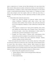 Įmonės gamybos analizė: AB "Baltijos laivų statykla" 7 puslapis
