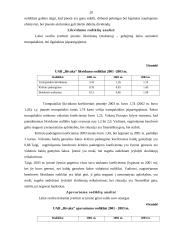 Įmonės konkurencinės pozicijos vertinimas 20 puslapis