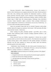 Įmonės konkurencinis pranašumas: UAB "Mauglis" 2 puslapis