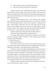 Įmonės konkurencinis pranašumas: UAB "Mauglis" 17 puslapis