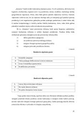 Įmonės konkurencinis pranašumas: UAB "Mauglis" 19 puslapis