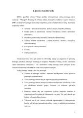 Įmonės konkurencinis pranašumas: UAB "Mauglis" 4 puslapis