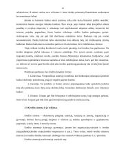 Įmonės kreditiniai santykiai su bankais 13 puslapis