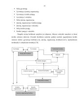 Įmonės kreditiniai santykiai su bankais 14 puslapis