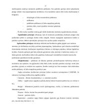 Įmonės kreditiniai santykiai su bankais 17 puslapis