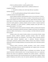 Įmonės kreditiniai santykiai su bankais 6 puslapis