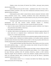 Įmonės likvidumo galimybių studija: AB "Vilniaus vingis" 11 puslapis