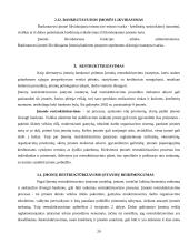 Įmonės likvidumo galimybių studija: AB "Vilniaus vingis" 20 puslapis