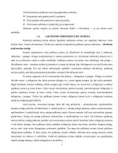 Įmonės likvidumo galimybių studija: AB "Vilniaus vingis" 7 puslapis