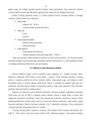 Įmonės marketingo analizė: spaudos ir kalendorių leidykla UAB "Ūkininko patarėjas" 16 puslapis