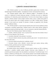 Įmonės marketingo analizė: spaudos ir kalendorių leidykla UAB "Ūkininko patarėjas" 6 puslapis