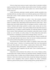 Įmonės marketingo mikroaplinka: UAB "Bitė GSM" 15 puslapis