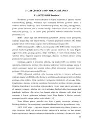 Įmonės marketingo mikroaplinka: UAB "Bitė GSM" 20 puslapis