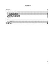 Įmonės marketingo programa: AB "Snaigė" 2 puslapis