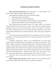 Įmonės marketingo programa: AB "Snaigė" 12 puslapis