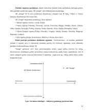 Įmonės marketingo programa: AB "Snaigė" 14 puslapis