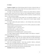 Įmonės marketingo programa: AB "Snaigė" 17 puslapis