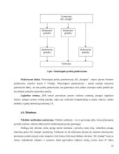 Įmonės marketingo programa: AB "Snaigė" 19 puslapis