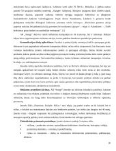 Įmonės marketingo programa: AB "Snaigė" 20 puslapis