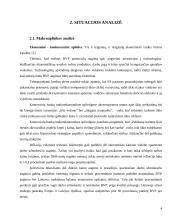 Įmonės marketingo programa: AB "Snaigė" 4 puslapis