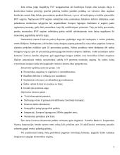 Įmonės marketingo programa: AB "Snaigė" 5 puslapis