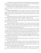 Įmonės marketingo programa: AB "Snaigė" 6 puslapis