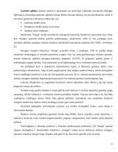 Įmonės marketingo programa: AB "Snaigė" 9 puslapis