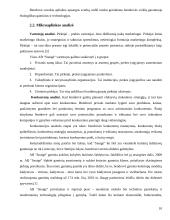 Įmonės marketingo programa: AB "Snaigė" 10 puslapis