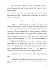 Įmonės paslaugų gerinimo ekonominis pagrindimas: IĮ D. Rubino 11 puslapis