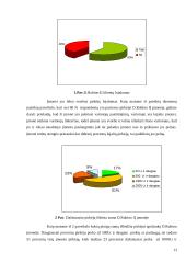 Įmonės paslaugų gerinimo ekonominis pagrindimas: IĮ D. Rubino 13 puslapis