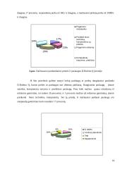 Įmonės paslaugų gerinimo ekonominis pagrindimas: IĮ D. Rubino 14 puslapis