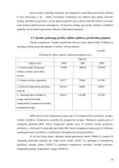 Įmonės paslaugų gerinimo ekonominis pagrindimas: IĮ D. Rubino 20 puslapis