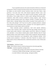 Įmonės paslaugų gerinimo ekonominis pagrindimas: IĮ D. Rubino 3 puslapis