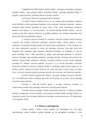 Įmonės paslaugų gerinimo ekonominis pagrindimas: IĮ D. Rubino 8 puslapis