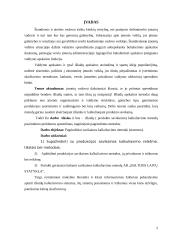 Įmonės paslaugų savikaina: AB "Baltijos laivų statykla" 2 puslapis