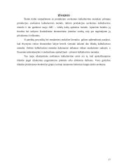 Įmonės paslaugų savikaina: AB "Baltijos laivų statykla" 17 puslapis