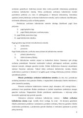 Įmonės paslaugų savikaina: AB "Baltijos laivų statykla" 8 puslapis