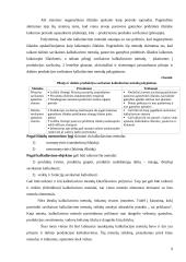 Įmonės paslaugų savikaina: AB "Baltijos laivų statykla" 9 puslapis