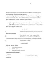 Įmonės strateginis planas: "Ober-hause" 2 puslapis