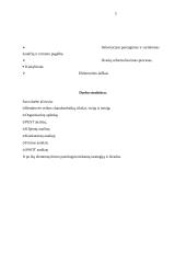 Įmonės strateginis planas: "Ober-hause" 3 puslapis