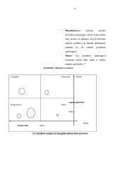 Įmonės strateginis planas: "Ober-hause" 9 puslapis