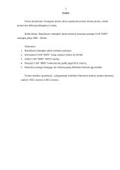 Įmonės strateginis planas: buitinių prekių ir kompiuterių pardavimas UAB "BMS" 2 puslapis