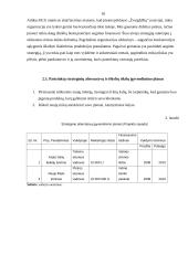Įmonės strateginis planas: buitinių prekių ir kompiuterių pardavimas UAB "BMS" 17 puslapis