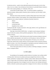 Įmonės strateginis planas: buitinių prekių ir kompiuterių pardavimas UAB "BMS" 5 puslapis