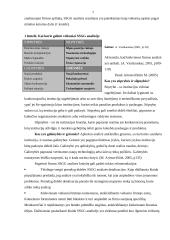 Įmonės strateginis planas: buitinių prekių ir kompiuterių pardavimas UAB "BMS" 6 puslapis