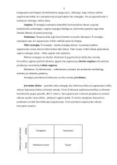 Įmonės strateginis planas: buitinių prekių ir kompiuterių pardavimas UAB "BMS" 8 puslapis