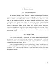 Įmonės veiklos analizė ir plėtra: UAB "Elektros tinklų statyba" 13 puslapis