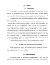 Įmonės veiklos analizė ir plėtra: UAB "Elektros tinklų statyba" 6 puslapis