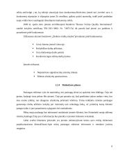 Įmonės veiklos analizė ir plėtra: UAB "Elektros tinklų statyba" 7 puslapis